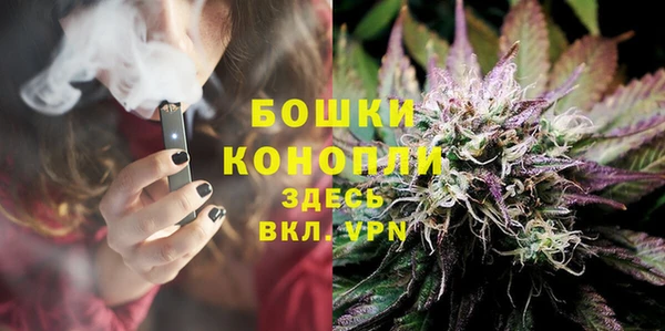 PSILOCYBIN Балабаново